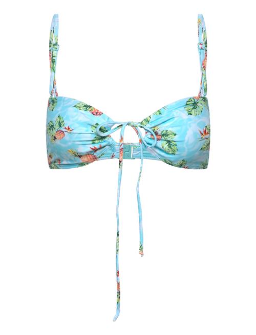 La Habana To Desigual Blue