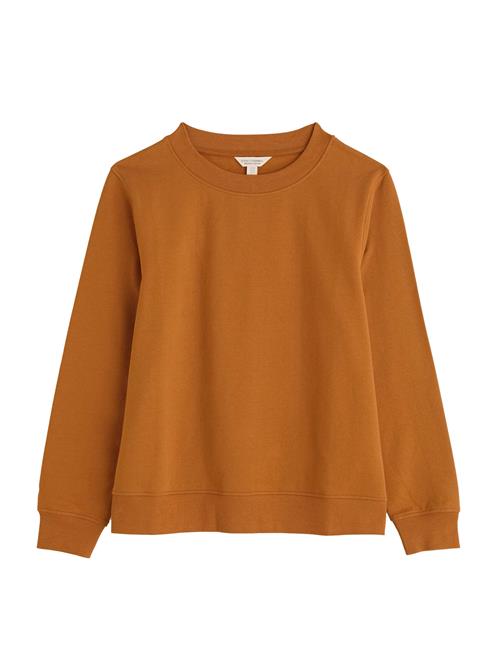 Seasalt Cornwall Sweatshirt 'Mappa'  okker