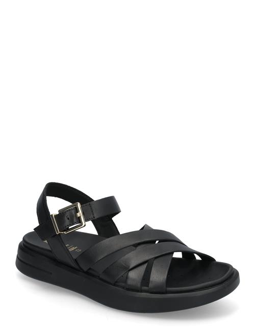 D Xand 2S B GEOX Black