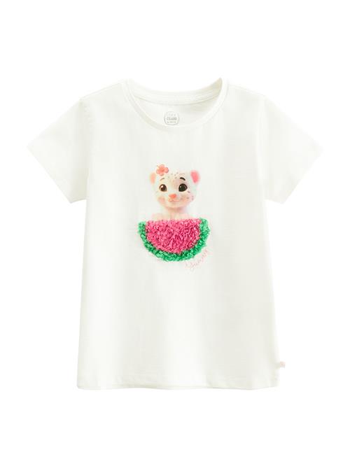 Cool Club Bluser & t-shirts  græsgrøn / pitaya / sort / hvid