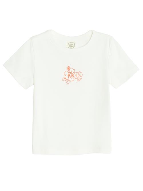 Cool Club Bluser & t-shirts  orange / hvid