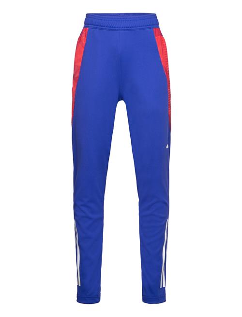 Tiro24 C Trpnty Adidas Performance Blue