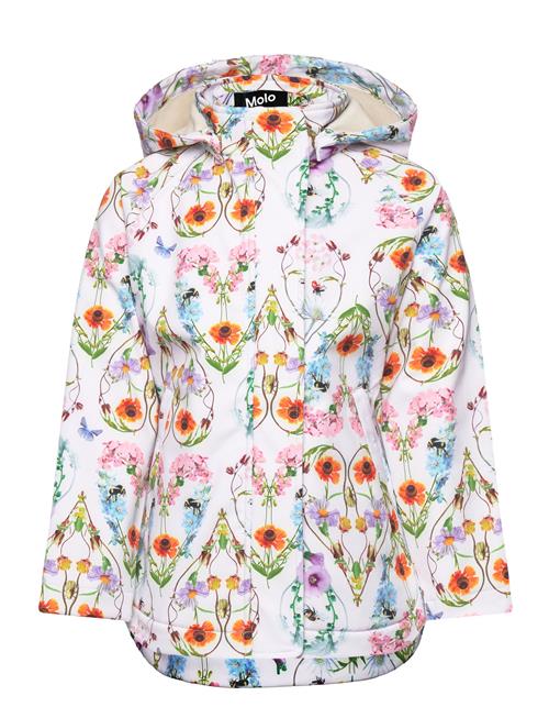 Se Hillary Molo Patterned ved Booztlet