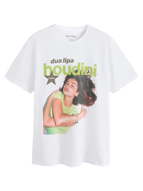 Next Shirts  blandingsfarvet / hvid