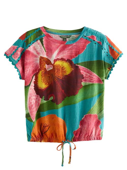 Next Shirts  blå / grøn / orange / pink