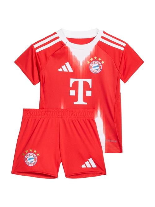 ADIDAS PERFORMANCE Træningsdragt 'FC Bayern München 25/26'  lyseblå / lysegul / brandrød / hvid