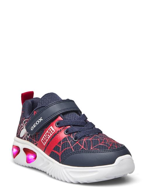J Assister Boy D GEOX Navy