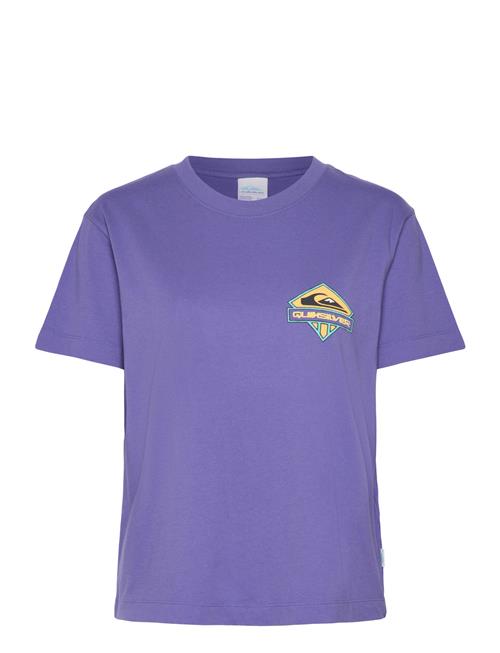 Se Standard Ss Tee Quiksilver Purple ved Booztlet