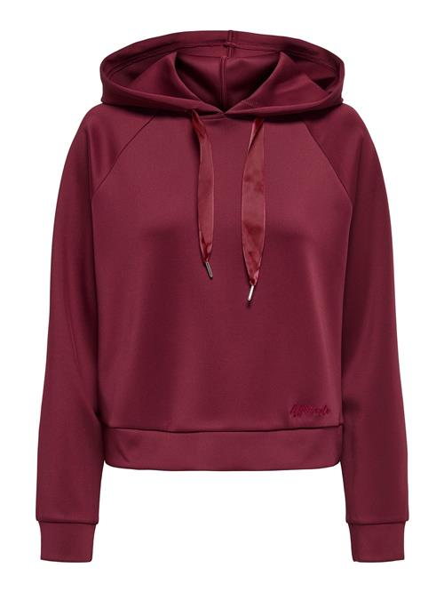 ONLY Sweatshirt 'ONLLue'  purpur