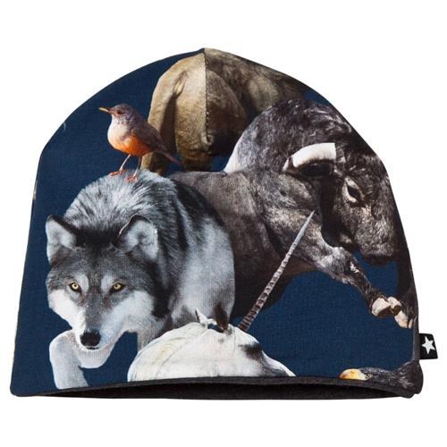 Molo Ned Hue National Animals 0-3 Months    0-3 måneder  mand