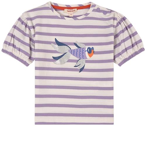 Catimini Stribet T-Shirt Lilla 6 Months  Lilla  6 måneder  kvinde