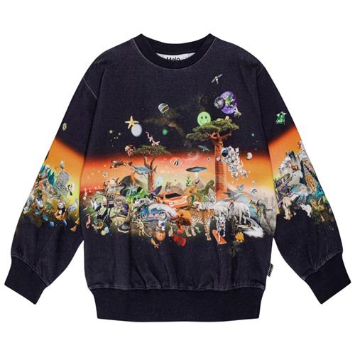 Molo GOTS Monti Sweatshirt All Things 110 cm  Sort  110 cm  mand