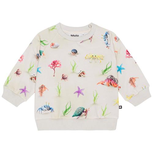 Molo GOTS Disc Sweatshirt Hermit Crab 74 cm  Creme  74 cm  Unisex