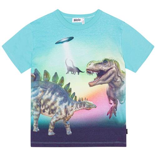 Molo GOTS Riley T-shirt Beaming Dinos 128 cm  Blå  128 cm  mand