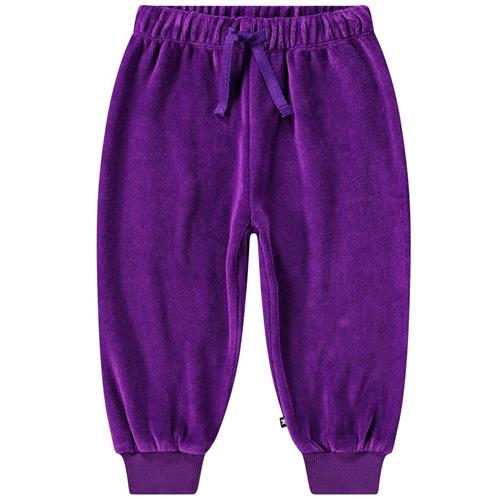 Molo Simeon Joggingbukser Lilla 80 cm  Lilla  80 cm  kvinde