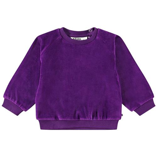 Molo Disc Sweatshirt Lilla 68 cm  Lilla  68 cm  kvinde