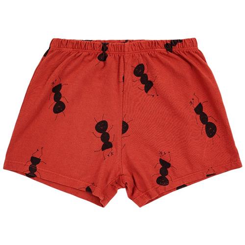 Bobo Choses Ant Mønstrete Baby-shorts Rød 6 months  Rød  6 måneder  Unisex