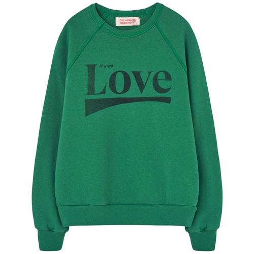 The Animals Observatory Shark Kid Sweatshirt Green 12 Y  Grøn  12 år  Unisex