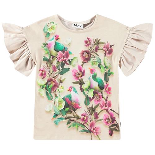 Molo GOTS Rayah T-shirt Fruit Doves 98 cm  Beige  98 cm  kvinde