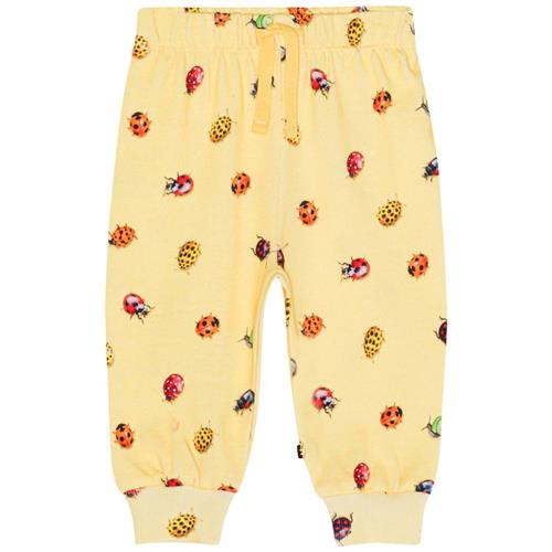 Molo GOTS Simeon Joggingbukser Coccinella 68 cm  Gul  68 cm  Unisex