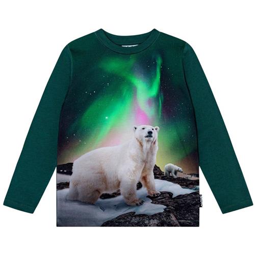 Molo GOTS Reif Langærmet T-shirt Polar Bear 104cm  Grøn  104 cm  mand
