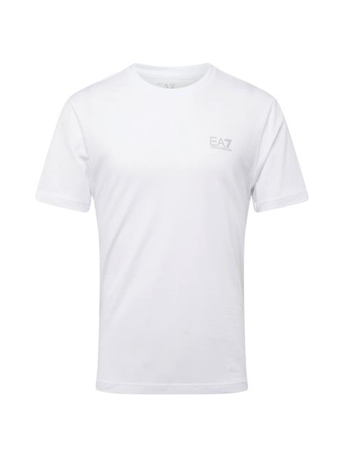 ARMANI EXCHANGE Shirts  grå / hvid