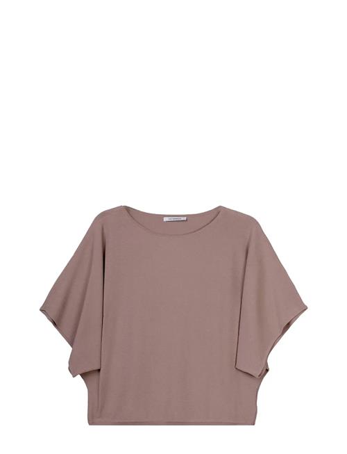 Short Sleeve Knit, Klea Ivo Nikkolo Brown