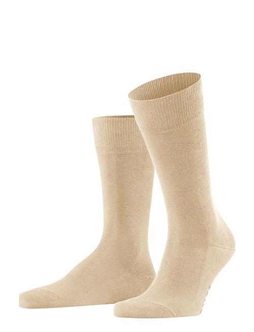 Family Everyday Casual Falke Cream