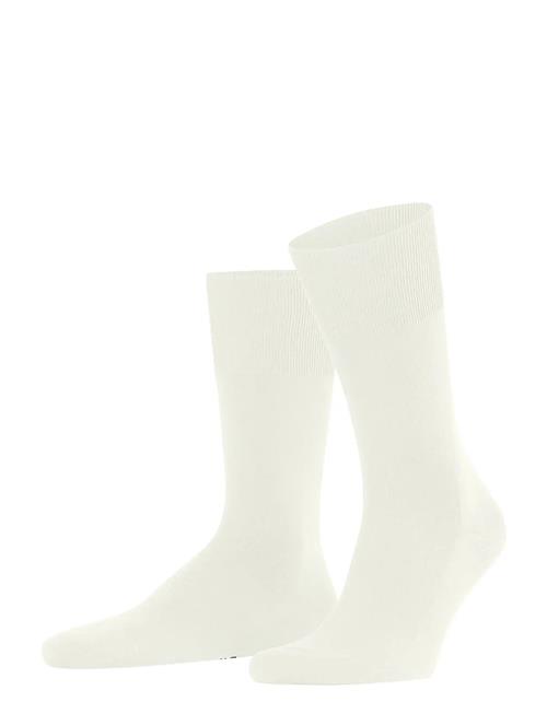 Climawool Temperature Regulation Falke White