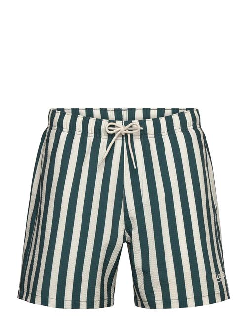 Hco. Guys Swim Hollister Navy