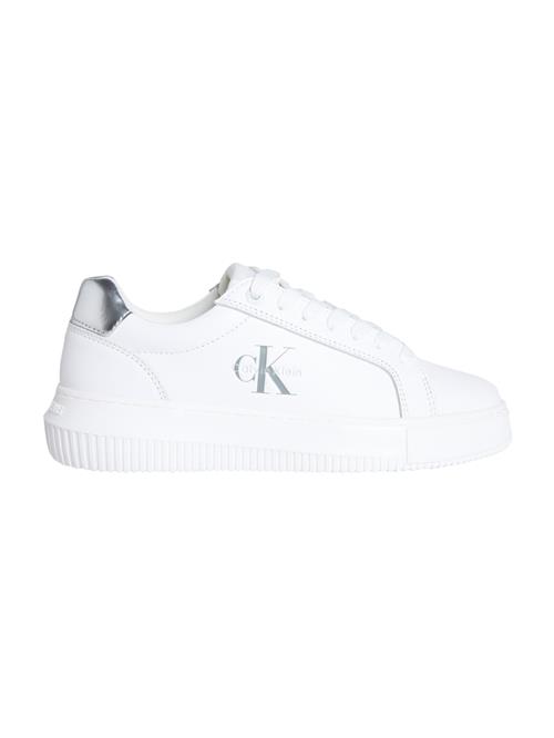 Calvin Klein Jeans Sneaker low  sølv / hvid