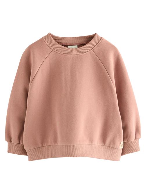 Next Sweatshirt  pudder