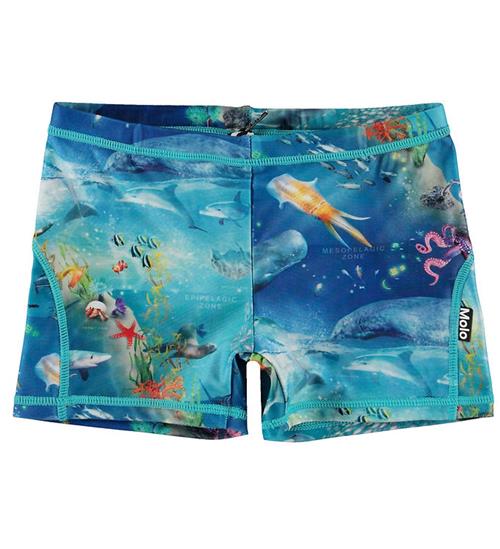 Molo Badebukser - UV50+ - Norton - Ocean Zones