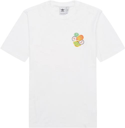 Adidas Originals GRAPHIC TEE JW2975 T-shirts