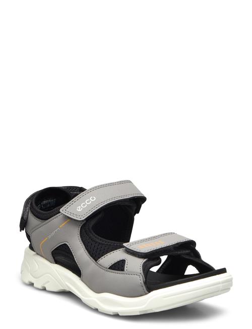 Biom Raft ECCO Grey
