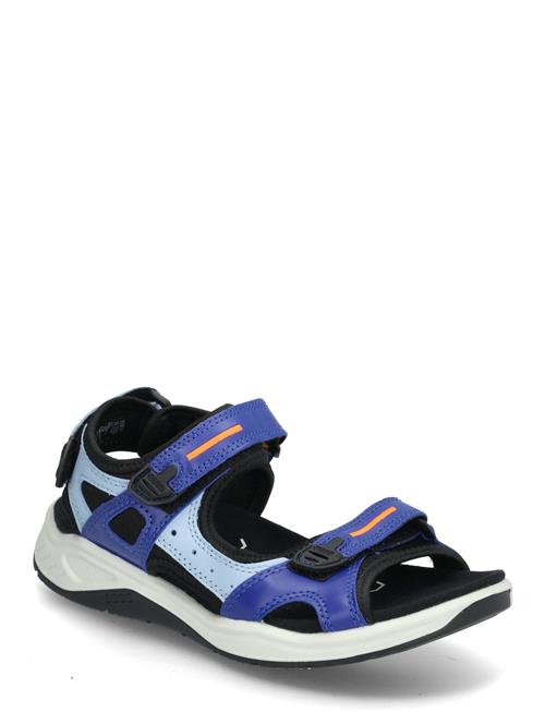 X-Trinsic K ECCO Blue