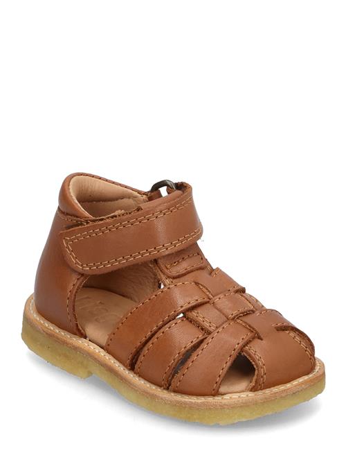 Bisgaard Ami Bisgaard Brown