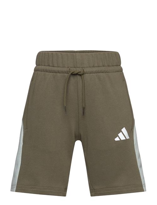 J Cb Short Adidas Sportswear Khaki