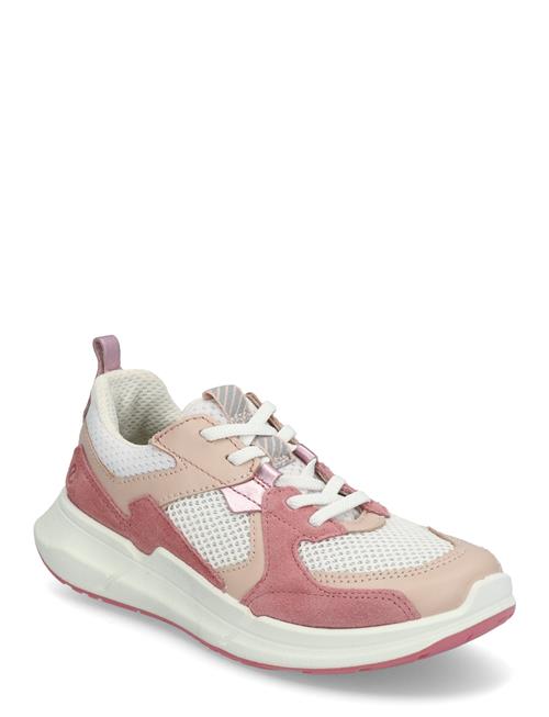 Biom 2.2 K ECCO Pink