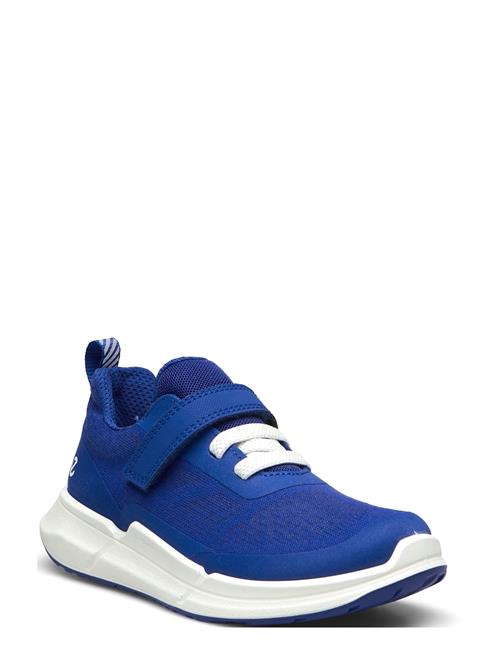 Biom 2.2 K ECCO Blue