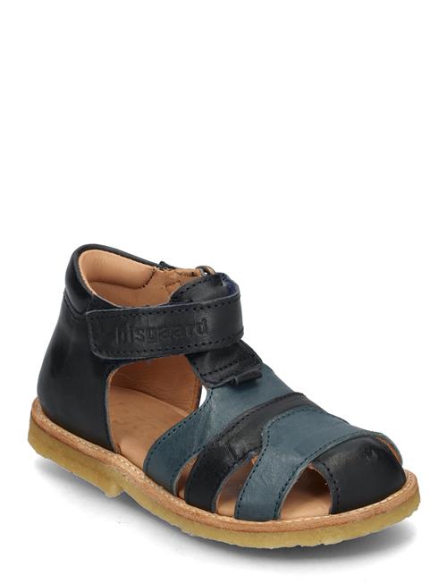 Bisgaard Bjørn Bisgaard Navy