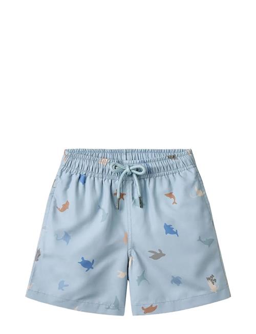 Swim Trunk Hansi Wheat Blue