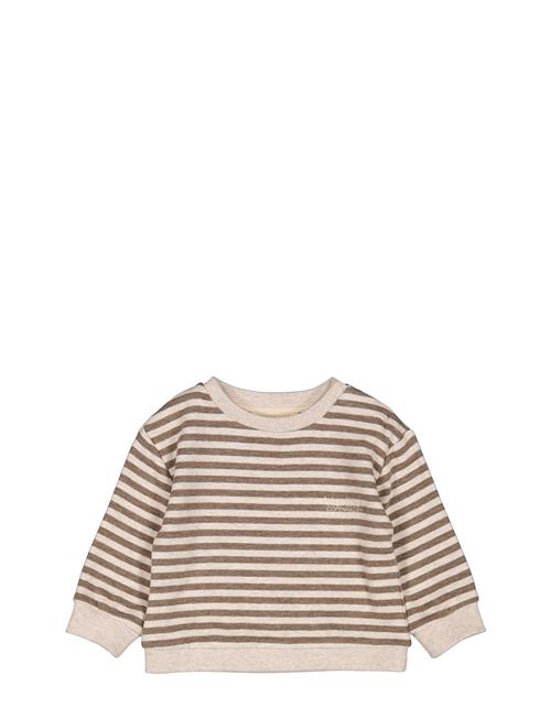 Tammas B MarMar Copenhagen Beige