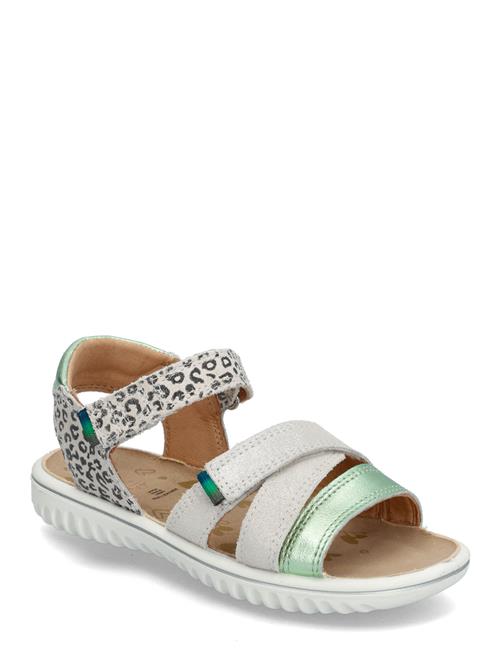 Sparkle Superfit Patterned