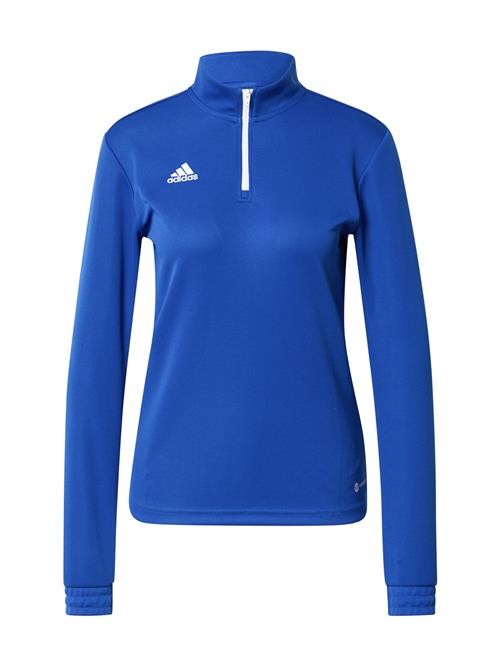 ADIDAS PERFORMANCE Sportsweatshirt 'Entrada 22'  blå / hvid