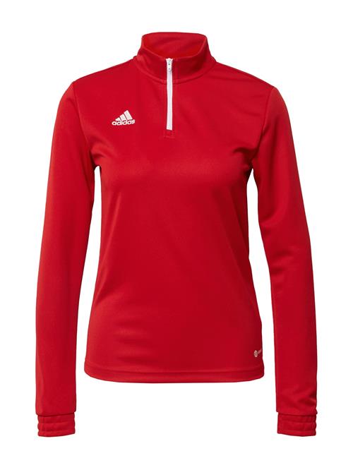 ADIDAS PERFORMANCE Sportsweatshirt 'Entrada 22'  carminrød / hvid