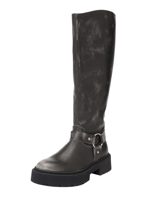 STEVE MADDEN Støvler  mørkegrå