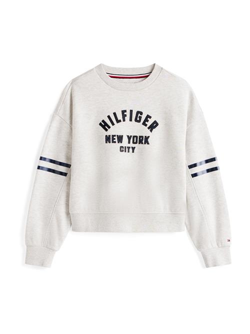 TOMMY HILFIGER Sweatshirt  mørkeblå / grå / sort