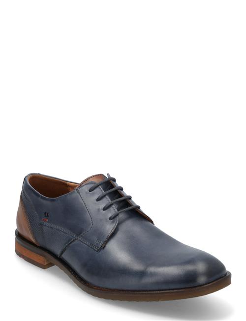 Domino Lloyd Navy
