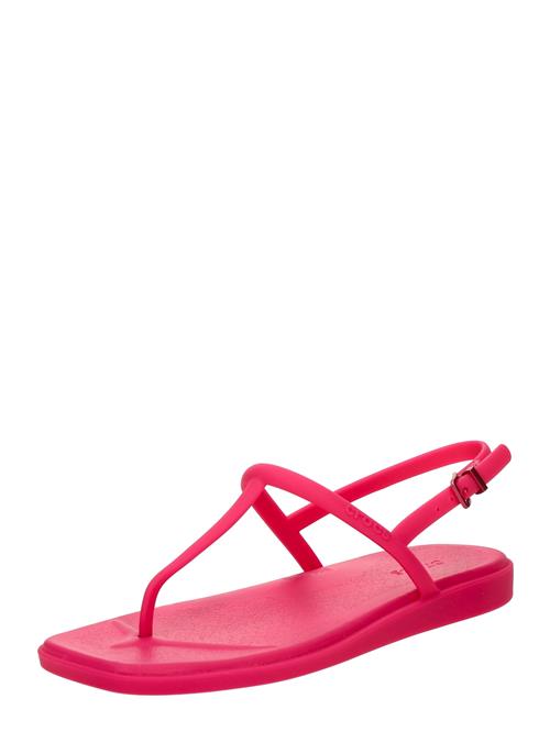 Se Crocs Klipklappere 'Miami'  pink ved About You